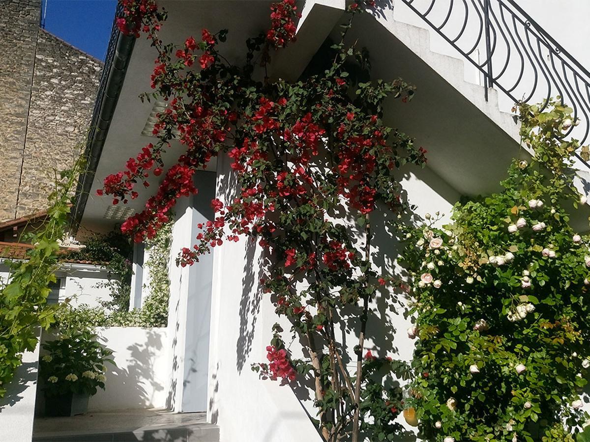 Le Clos Chez Michel Монпелие Екстериор снимка